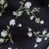 Black Floral