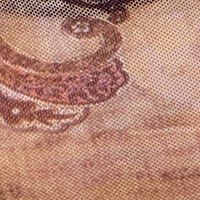 Braun