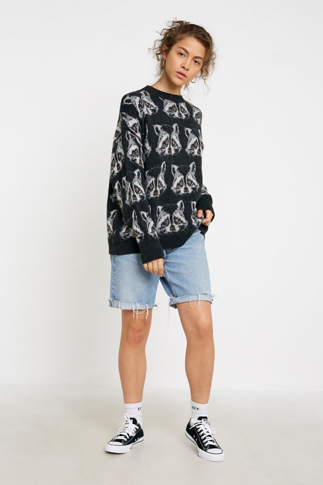 UO Raccoon Jumper #2
