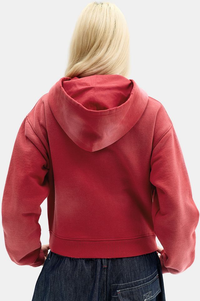 Sweat à capuche zippé délavé au soleil BDG #3