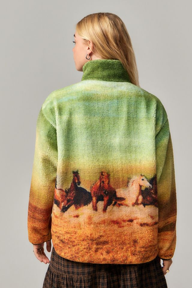 BDG SOAY Horse Half-Zip Fleece #3