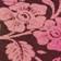 Combo Pink