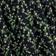 Black Multi