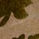 Brun