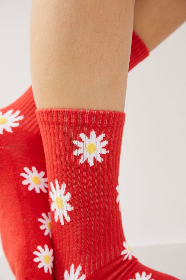 Red All Over Daisy #2