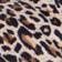 Marrone Multi