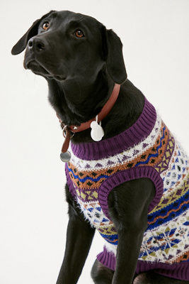 Sharplace Gestrickter Hundepullover - Weicher Winterpullover Für Hunde, Grau