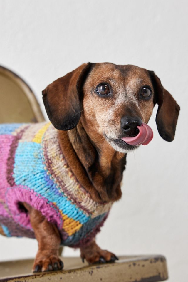 UO Petfitters Space Dye Knit Dog Jumper