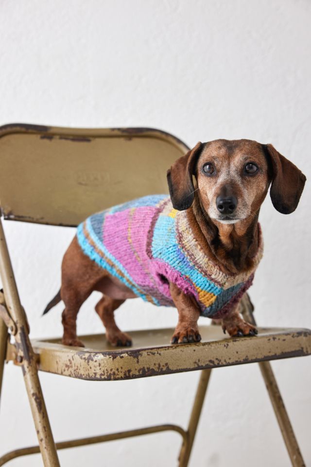 UO Petfitters Space Dye Knit Dog Jumper