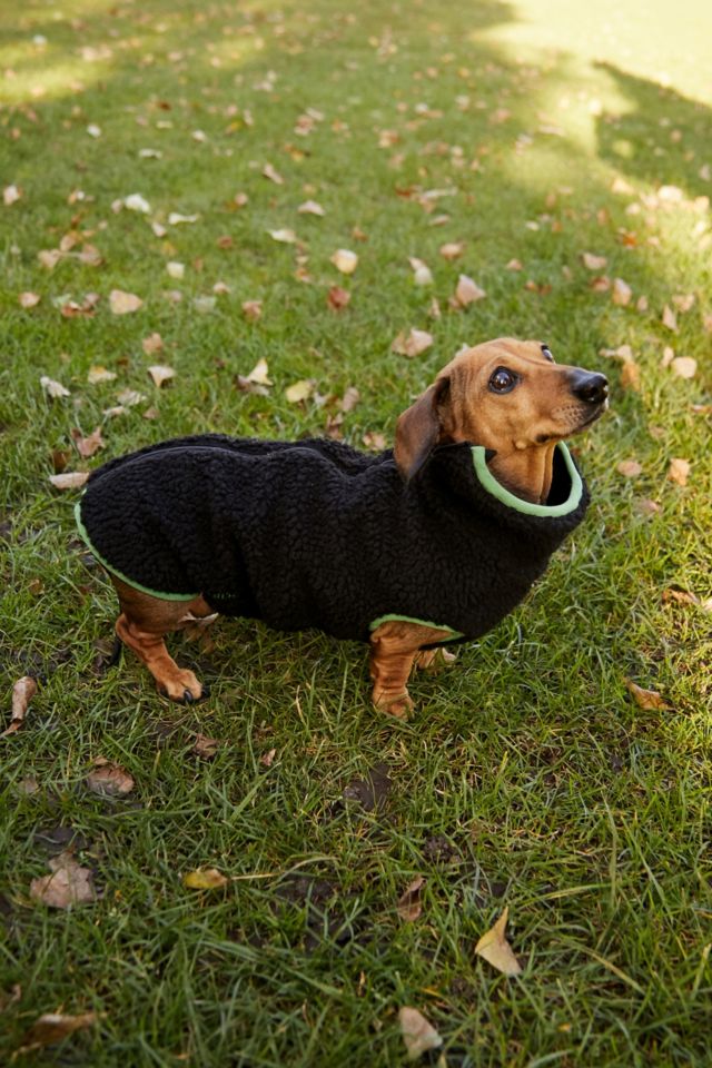 Black on sale dog fleece