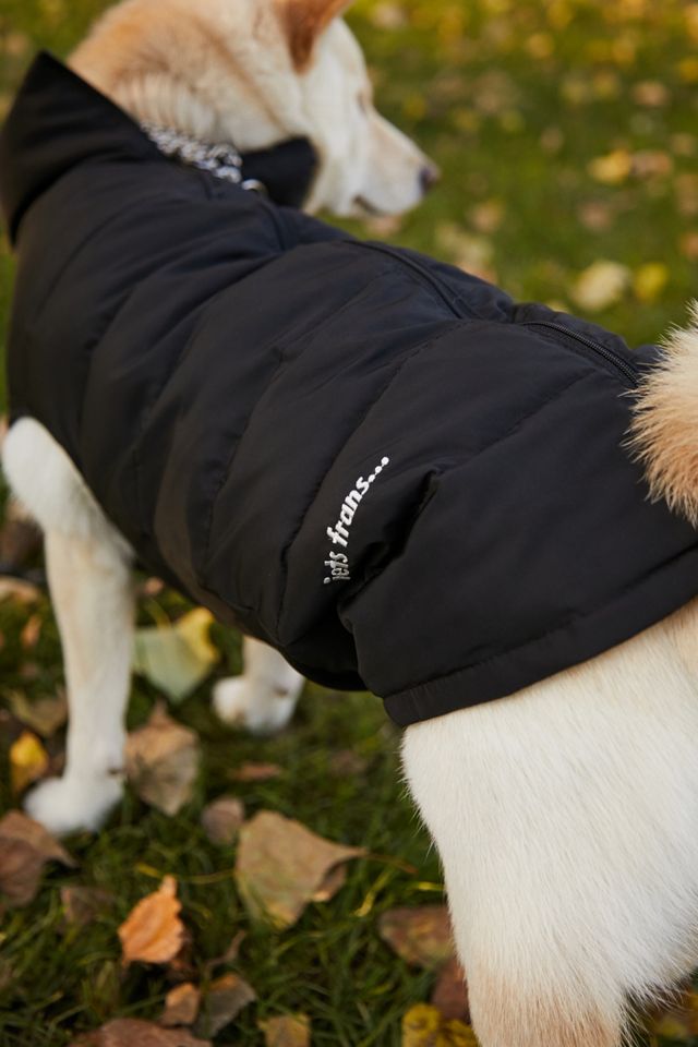 iets frans... Dog Puffer Coat  #1