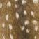 Brun