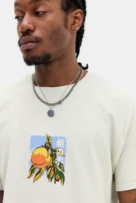 UO Ecru Yamanashi Pfirsich T-Shirt