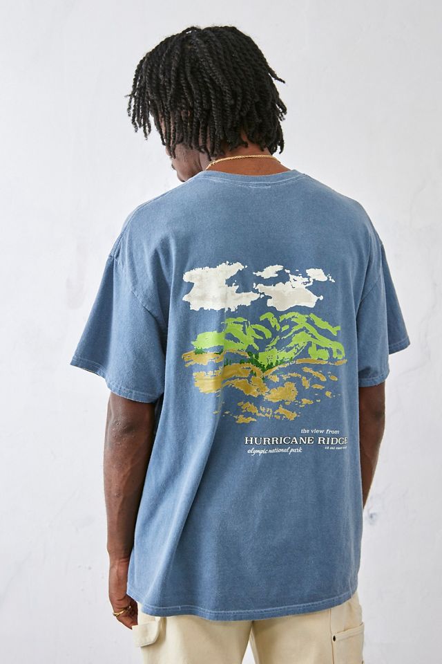 UO Blue Hurricane Ridge T-Shirt | Urban Outfitters UK