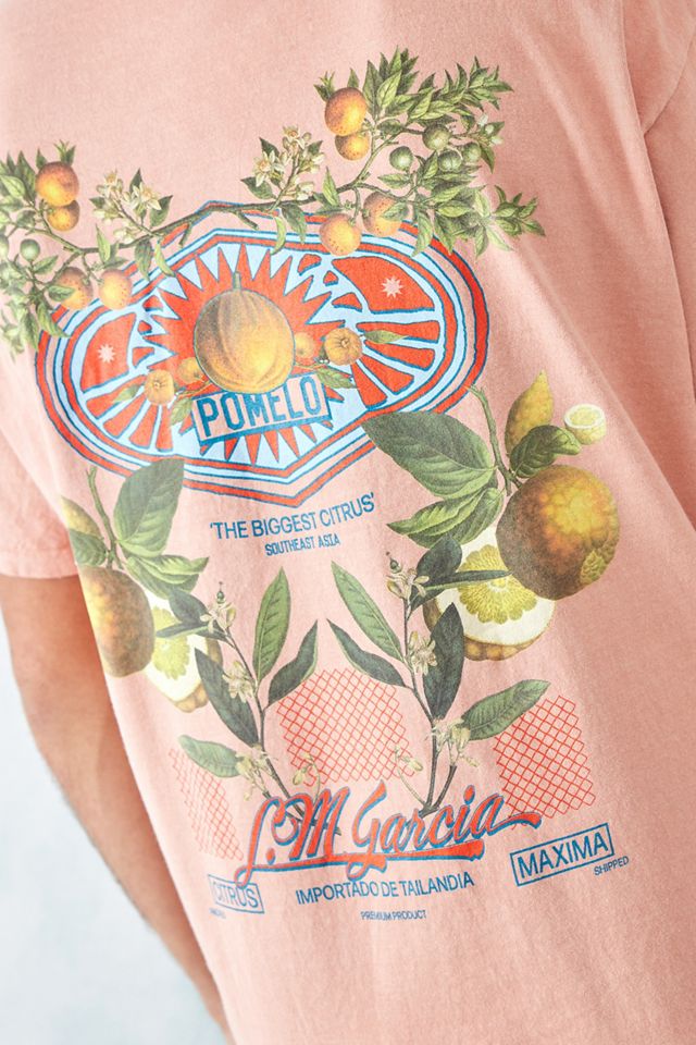 UO Apricot Vintage Fruit T-Shirt | Urban Outfitters UK