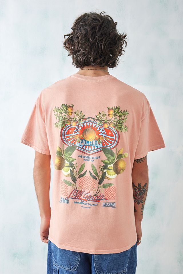 UO Apricot Vintage Fruit T-Shirt Urban Outfitters UK