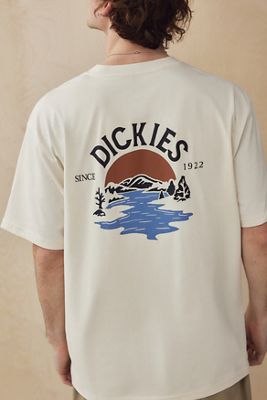 Dickies Mapleton T-Shirt in Gray | SVD
