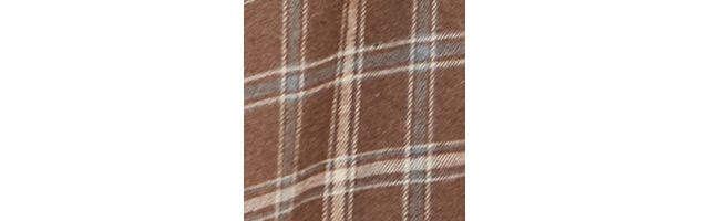 Santa Cruz UO Esclusiva Camicia Marrone Check El Jefe #5