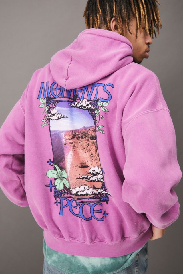 Urban outfitters best sale pink hoodie