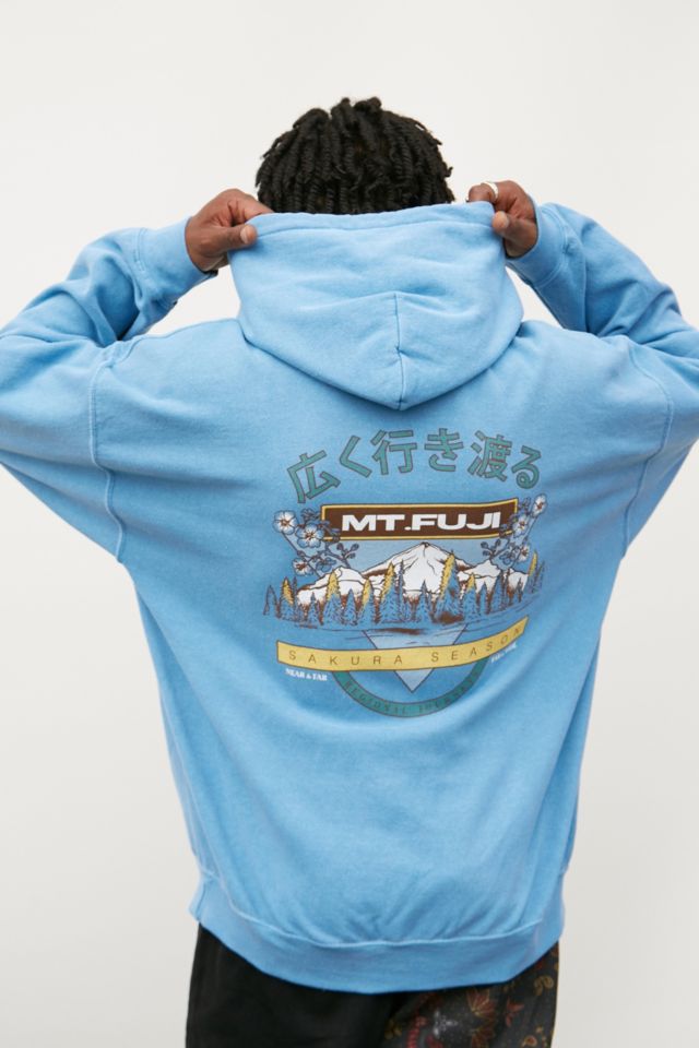 Urban outfitters blue clearance hoodie