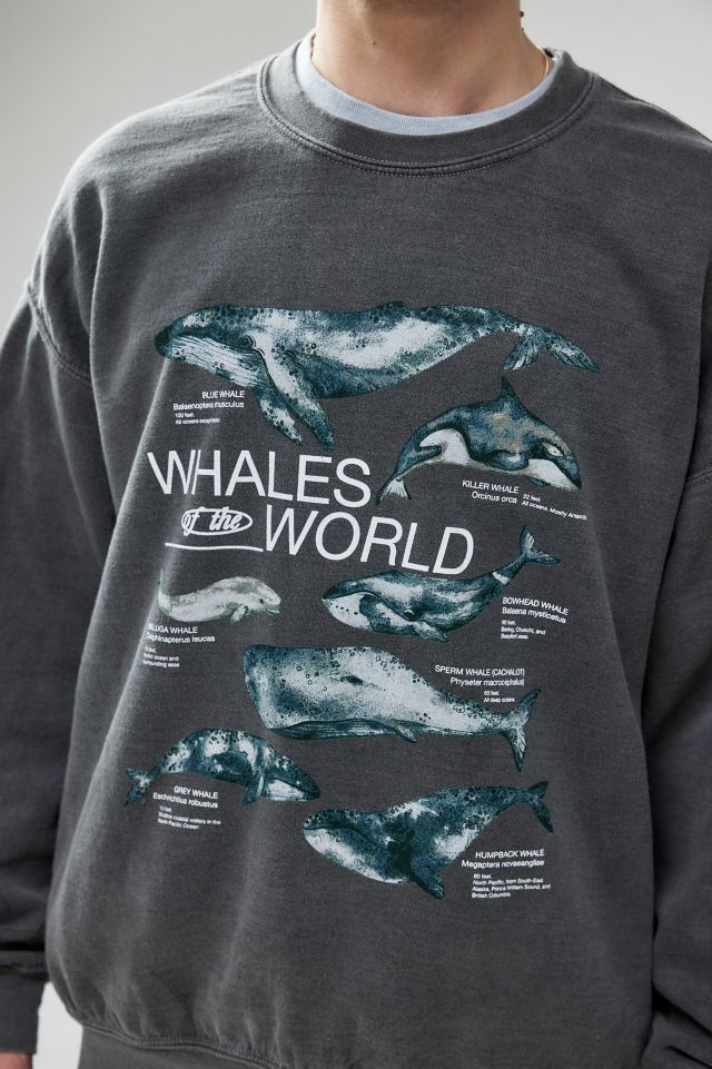 Whales sweatshirt hotsell