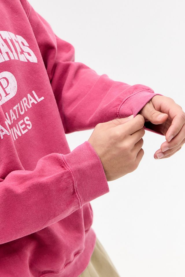 Sweat-shirt UO Red Small Plates #4