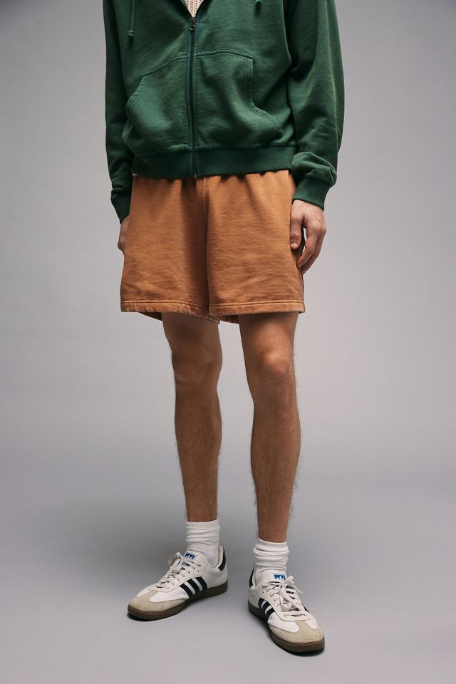 BDG Chipmunk Bonfire Shorts #2