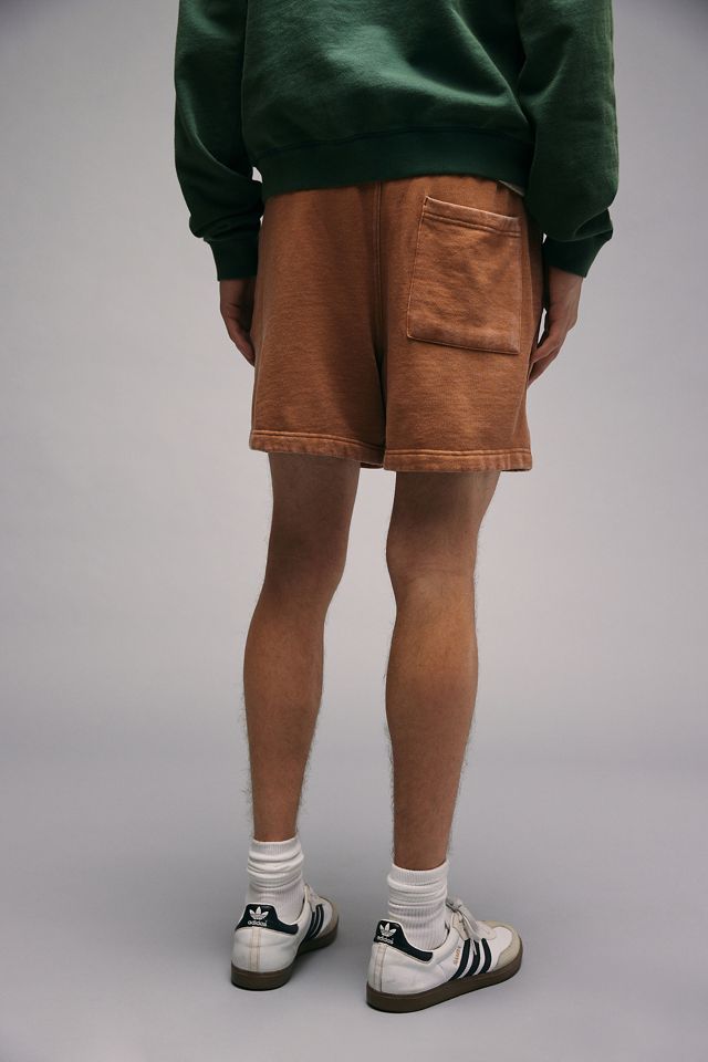 BDG Chipmunk Bonfire Shorts #4