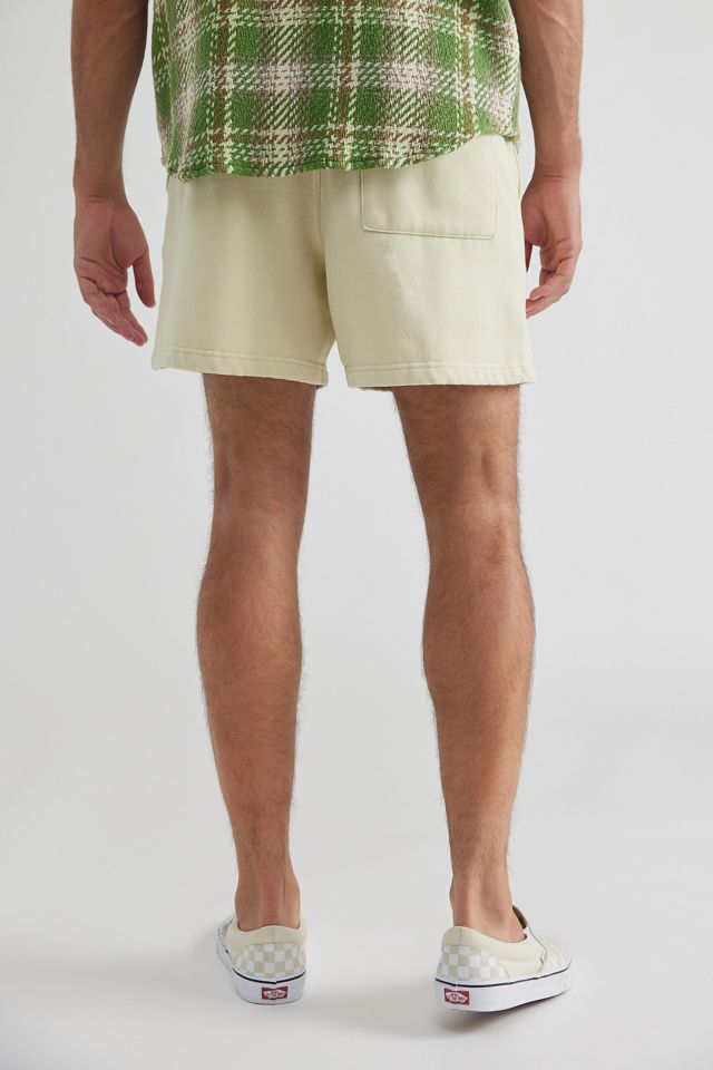 BDG Aloe Wash Bonfire Shorts  #3