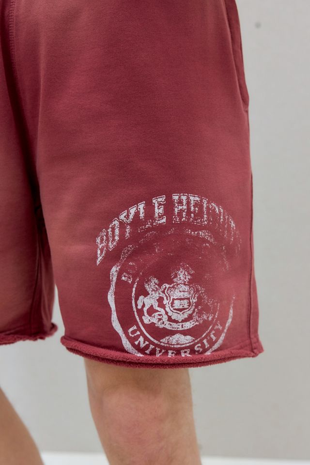 Pantaloncini in Jersey BDG Bordeaux Effetto Sbiancato dal Sole #2