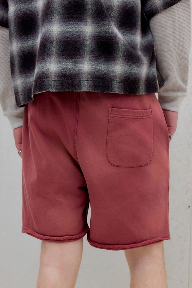 Pantaloncini in Jersey BDG Bordeaux Effetto Sbiancato dal Sole #3