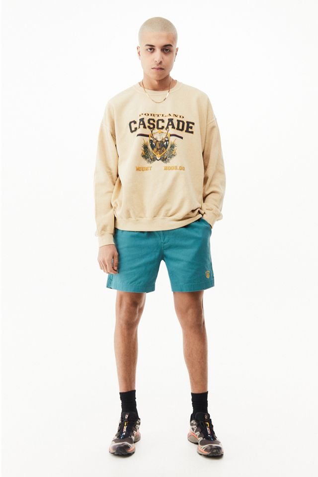 BDG Teal Twill Pantaloncini #2