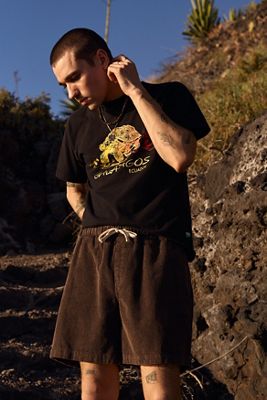 Short en velours côtelé brun BDG