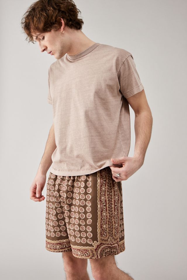 BDG Brown Medallion Swim Shorts  #2
