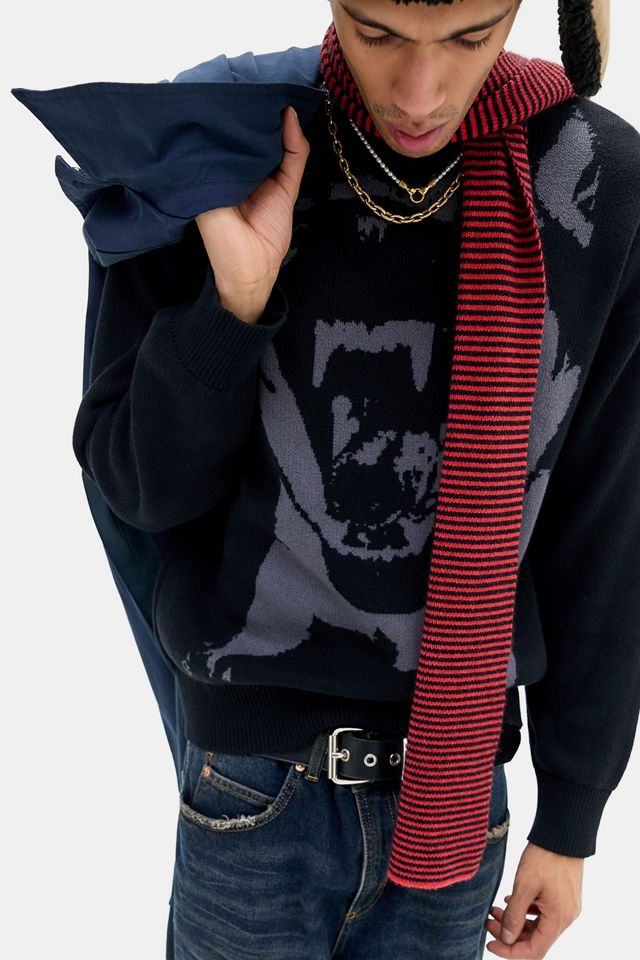 Pull en tricot pour chien Archivis #5