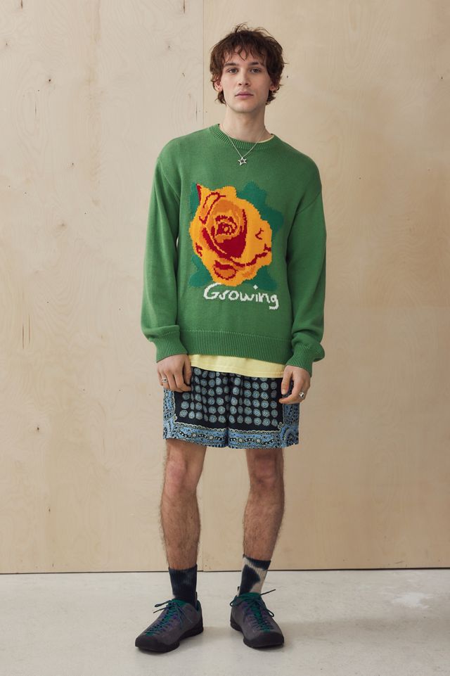 Pull en maille UO Green Growing Rose #2