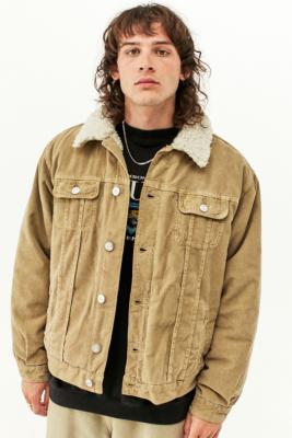 cropped sherpa