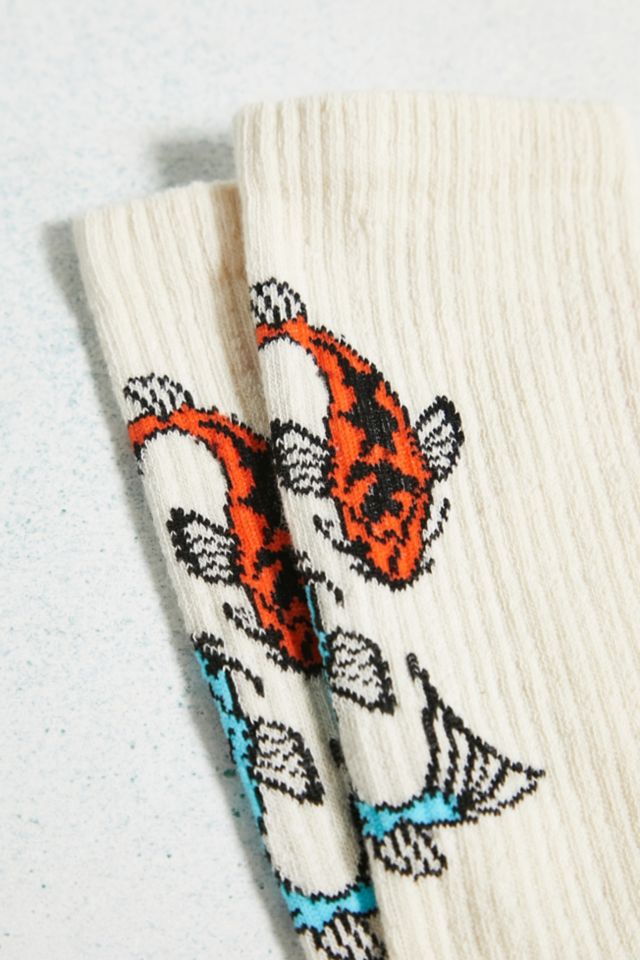 City on sale sock koi