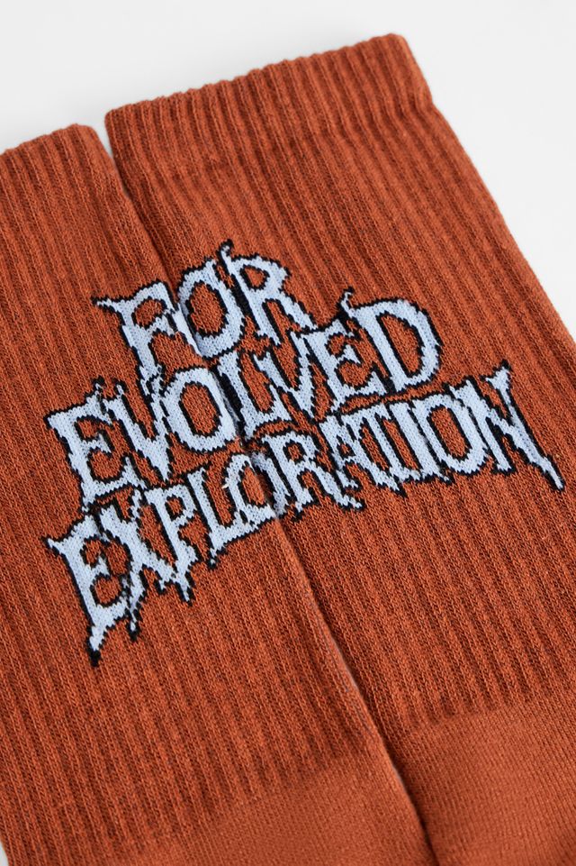Ayker Exploration Socks #1