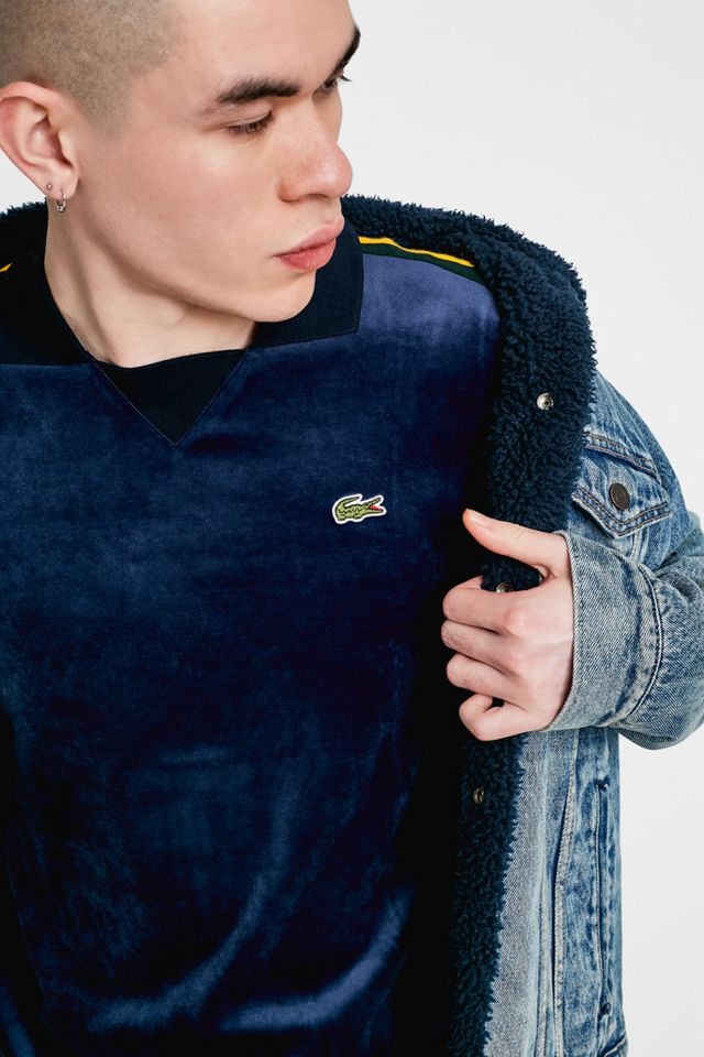 Lacoste LIVE Navy Velour Polo Shirt | Urban Outfitters UK
