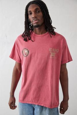 UO Red Idaho T-Shirt | Urban Outfitters UK