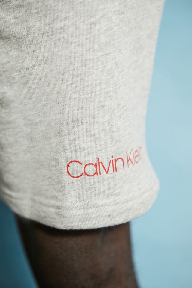 Calvin Klein Grey Shorts #3