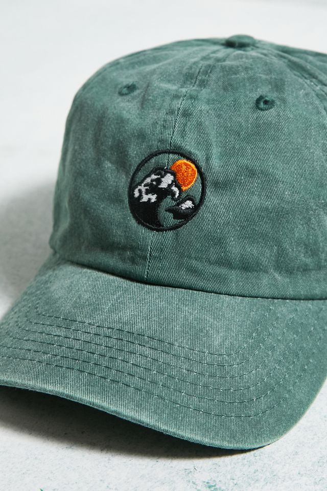 UO Washed Green Wave Cap #2