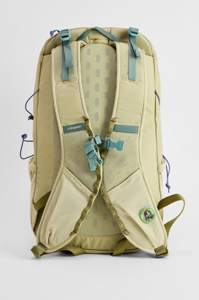 Cotopaxi Green Elqui 24L Backpack #3