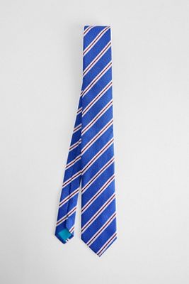UO Blue Stripe Tie