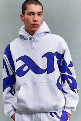 Sudadera con Capucha con Logo Ash XLARGE