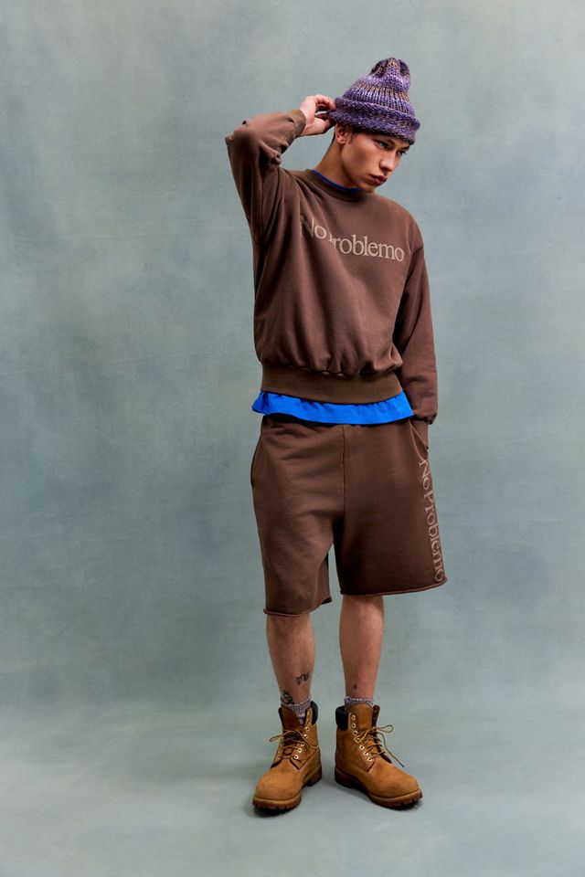 No Problemo UO Exclusive Brown Sweatshirt #1