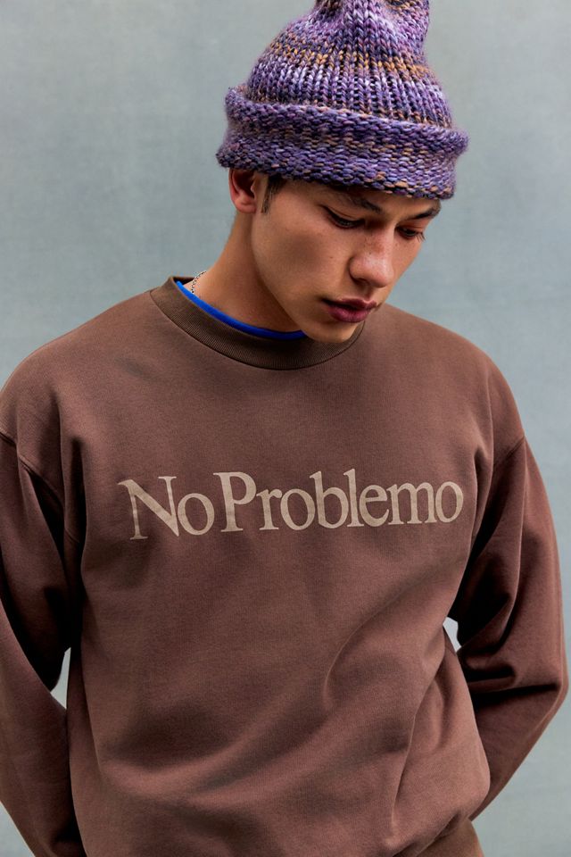 No Problemo UO Exclusive Brown Sweatshirt #2