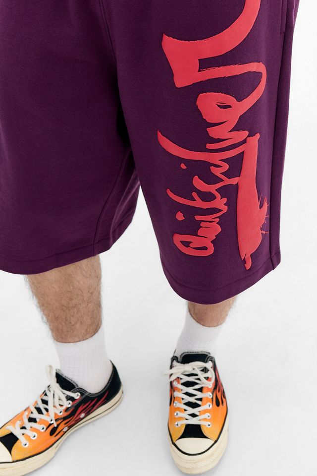 Shorts de Jersey Morados Exclusivos de UO de Quiksilver #2