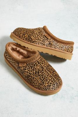 Tasman leopard outlet